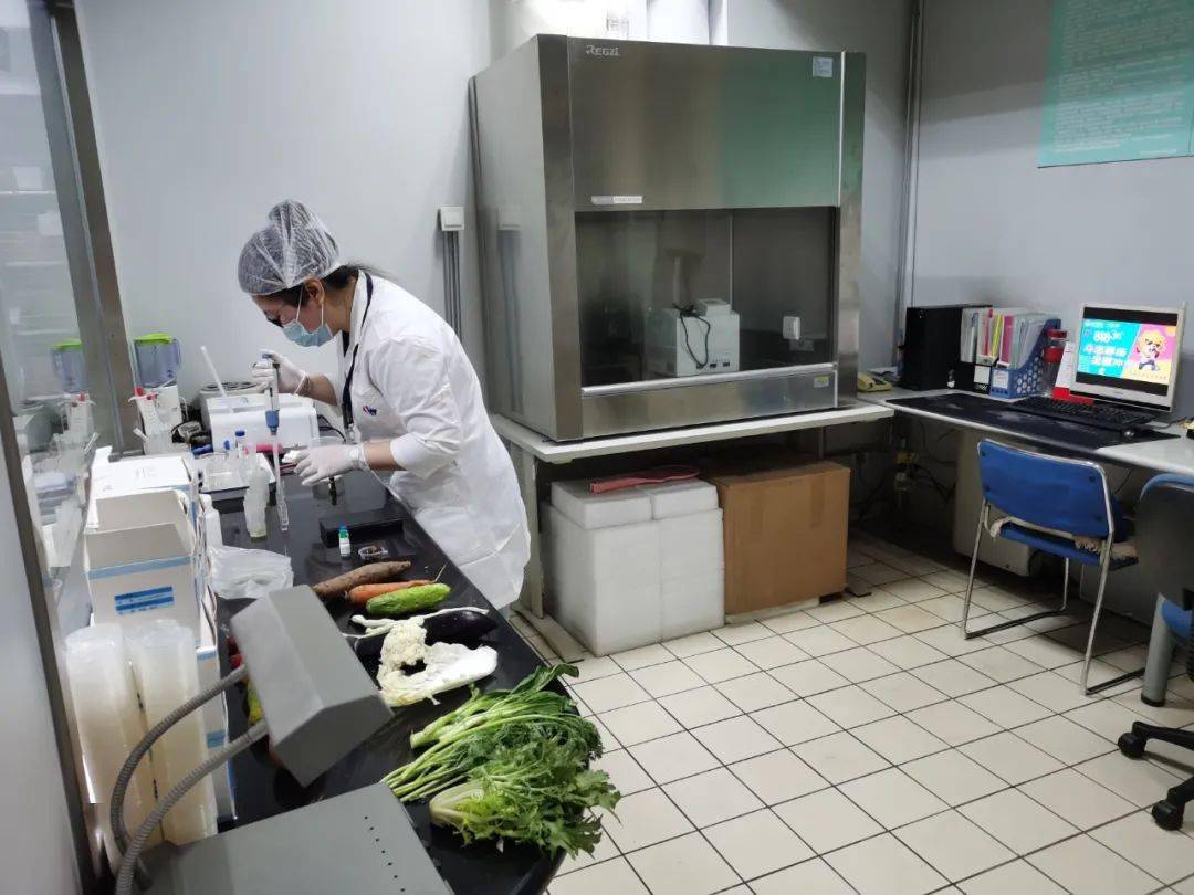 龙湾食品检测实验室装修方案
